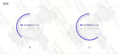 云威榜重慶互聯(lián)網(wǎng)商務(wù)服務(wù)行業(yè)觀察 代理記賬領(lǐng)域優(yōu)秀案例分析報(bào)告（第470期）